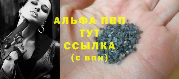индика Беломорск