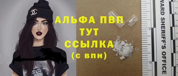 индика Беломорск