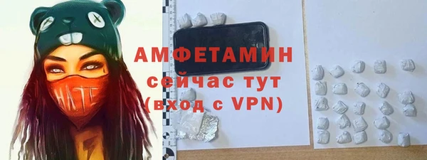 индика Беломорск