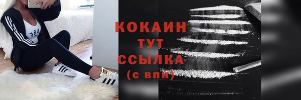 индика Беломорск
