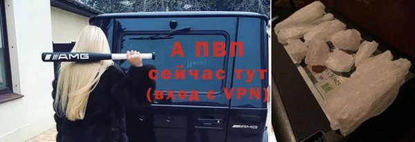 индика Беломорск