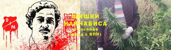 индика Беломорск