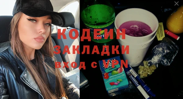 индика Беломорск