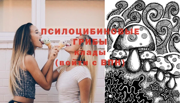 дмт Ельня