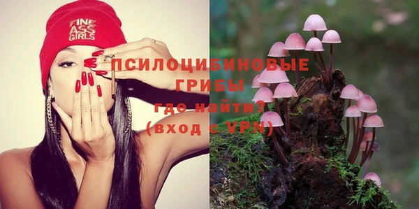 индика Беломорск