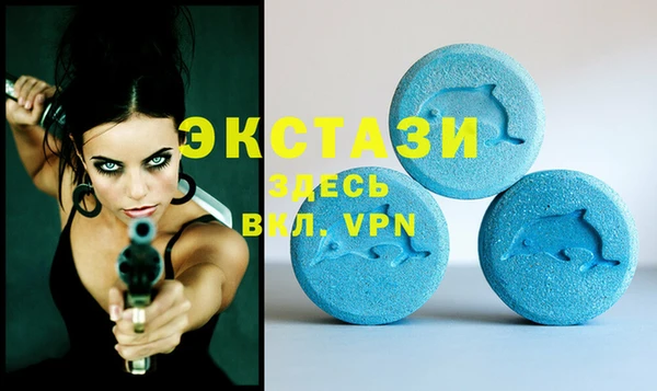 индика Беломорск