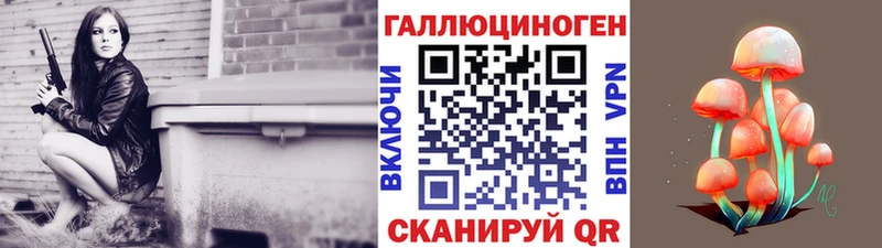 Галлюциногенные грибы Psilocybe  купить наркоту  Очёр 